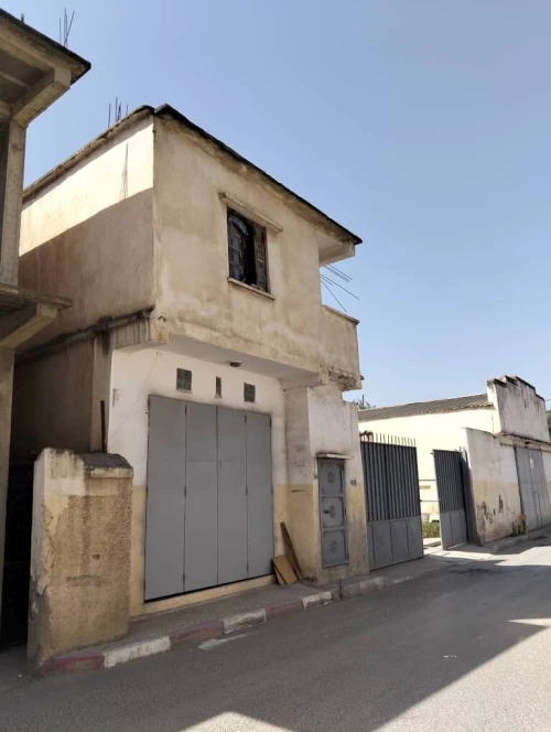 Location Hangar Blida Beni tamou