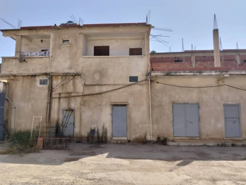 Location Hangar Blida Beni tamou