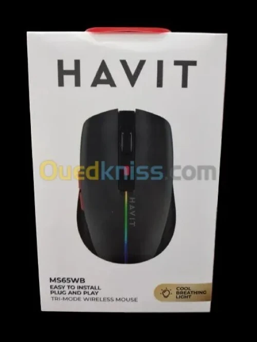 SOURIS HAVIT SANS FIL