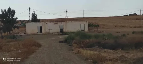 Vente Terrain Sidi Bel Abbès Tilmouni