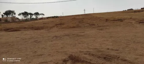 Vente Terrain Sidi Bel Abbès Tilmouni
