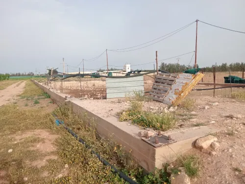 Vente Terrain Agricole Djelfa Ain oussara 7