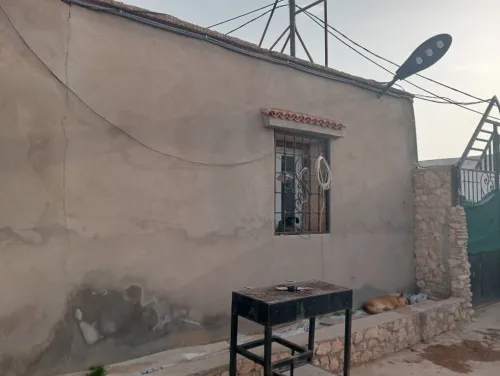 Vente Terrain Agricole Djelfa Ain oussara 15