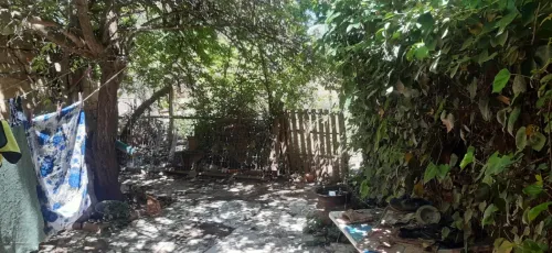 Vente Terrain Saïda Ain el hadjar