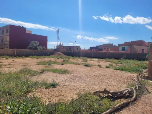 Vente Terrain Oran Sidi benyebka