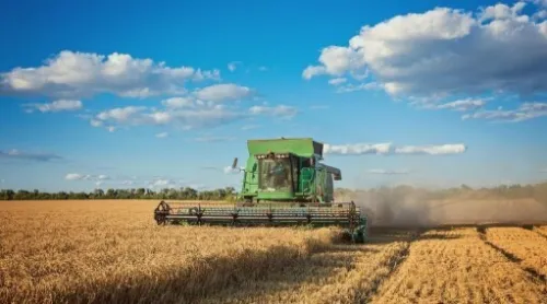 Vente Terrain Agricole El Tarf Berrihane