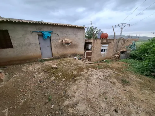 Vente Immeuble Chlef Sendjas