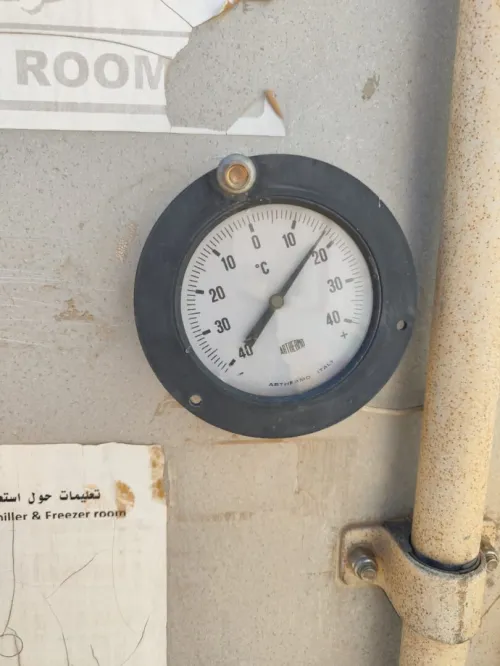 Conteneur Frigo 40p negatif -18