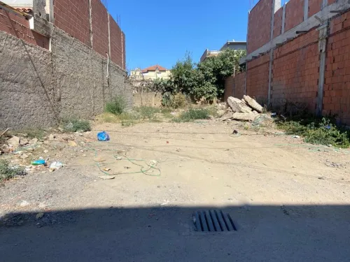 Vente Terrain Blida Ben khellil