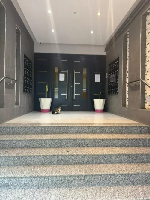 Location Appartement F4 Alger Cheraga