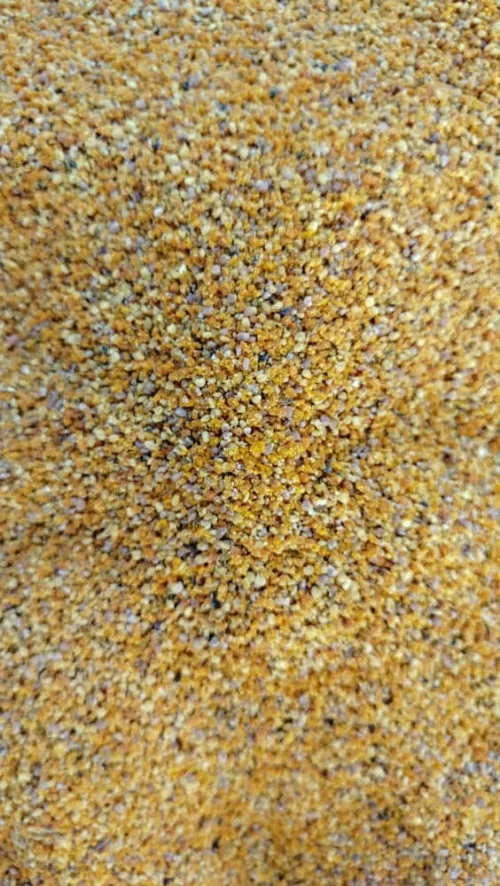 Pollen Frais / حبوب طلع طازجة