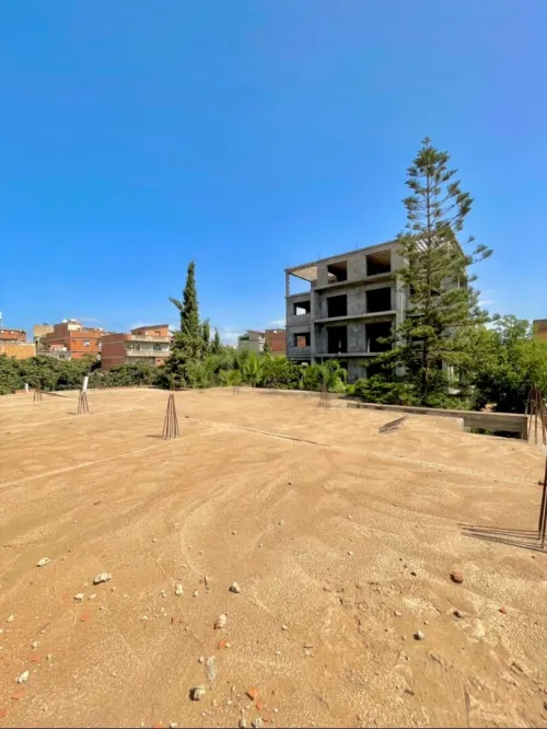 Vente Terrain Tipaza Kolea