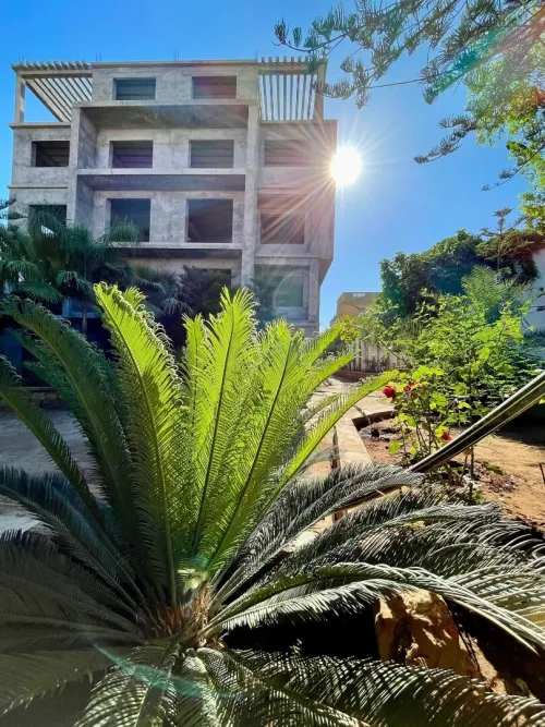Vente Terrain Tipaza Kolea