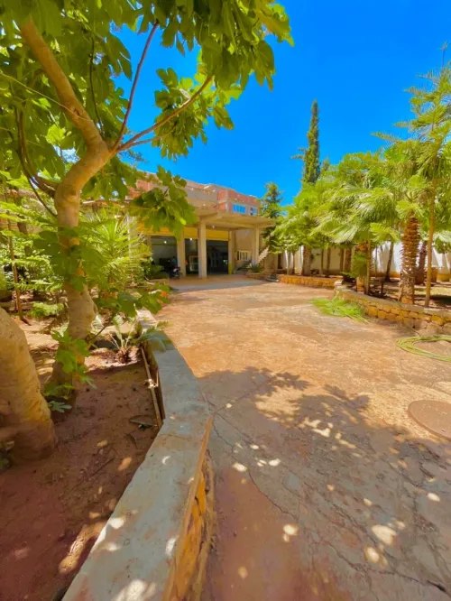 Vente Terrain Tipaza Kolea