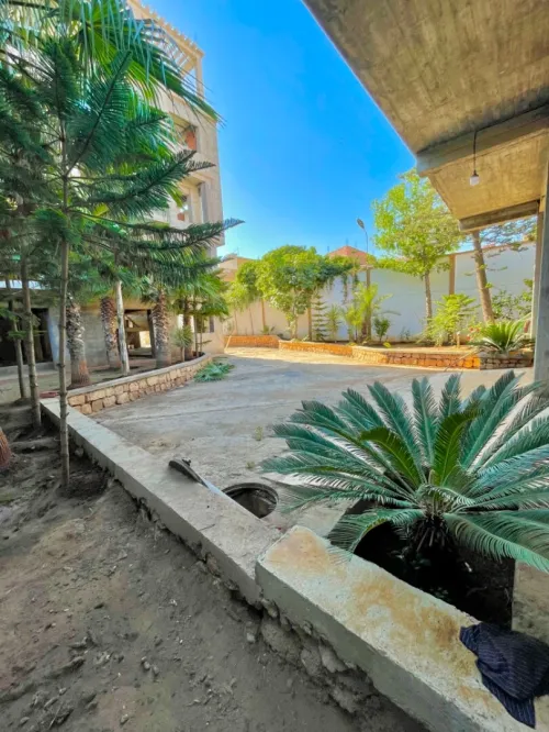 Vente Terrain Tipaza Kolea