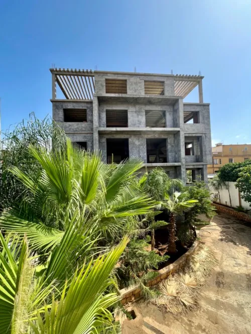 Vente Terrain Tipaza Kolea