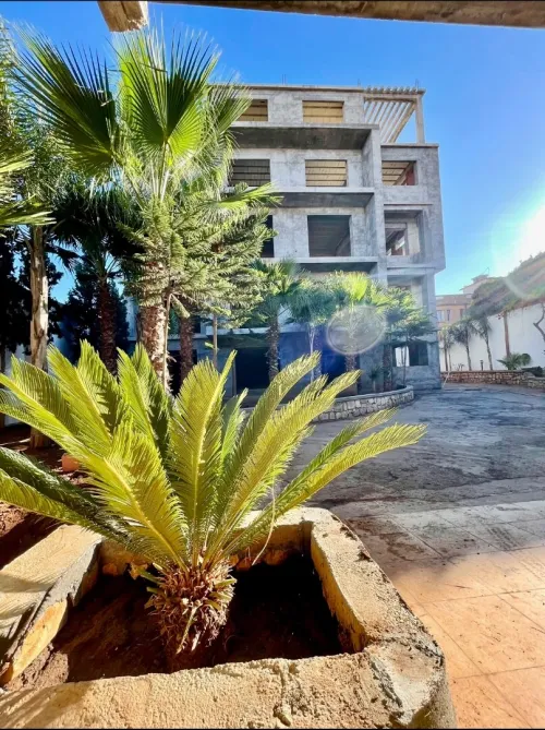 Vente Terrain Tipaza Kolea