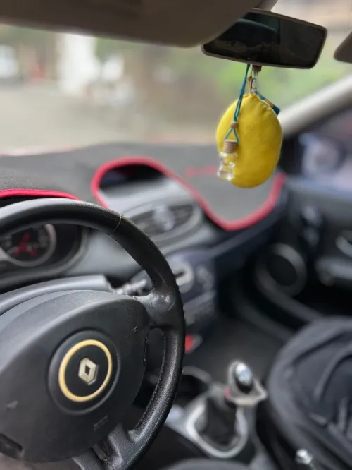 Renault Clio 3 2010 