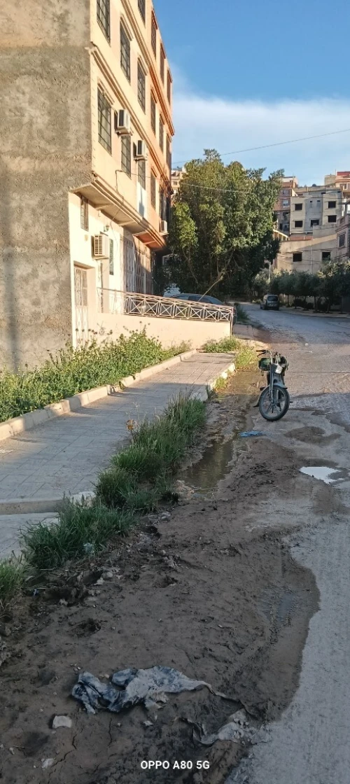 Vente Terrain Tlemcen Mansourah
