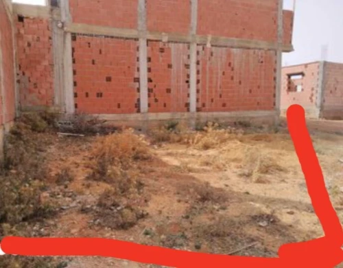 Vente Terrain Mostaganem Kheireddine