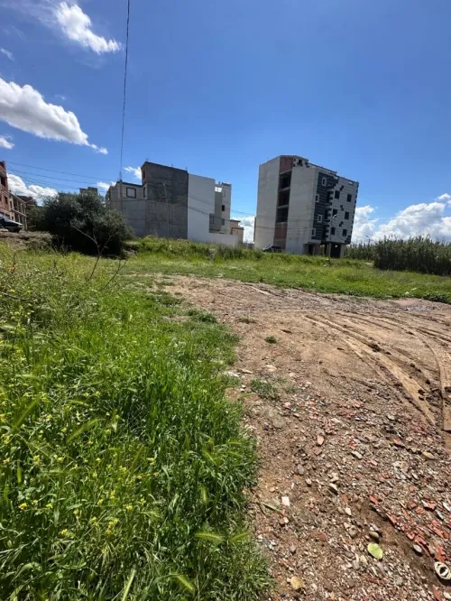 Vente Terrain Boumerdès Ouled hedadj