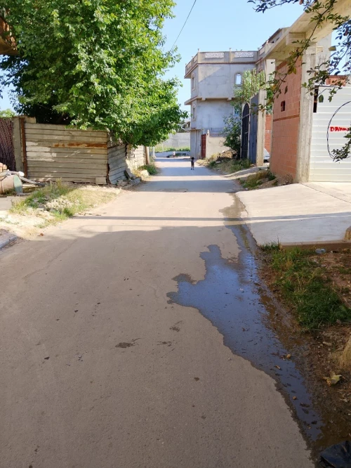 Vente Terrain Alger Tessala el merdja