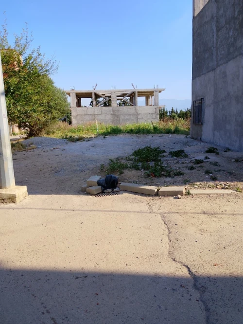 Vente Terrain Alger Tessala el merdja