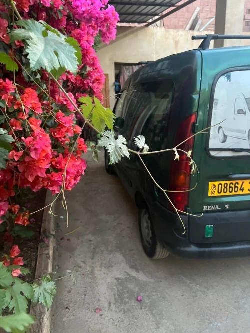 Renault Kangoo 2000 Kangoo