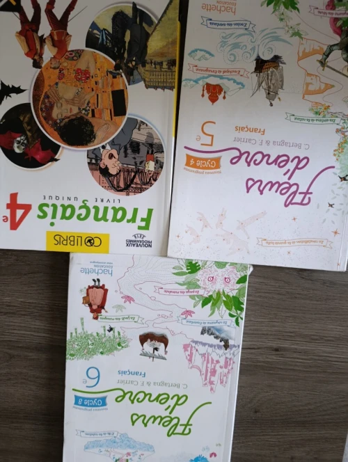 Lot de livres scolaires internationaux
