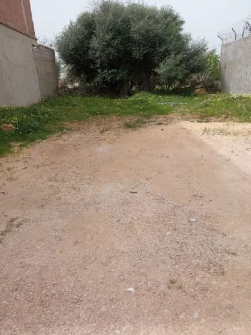 Vente Terrain Boumerdès Khemis el khechna