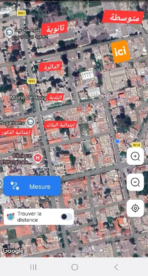 Vente Terrain Blida Bougara