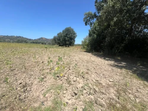 Vente Terrain Jijel El milia