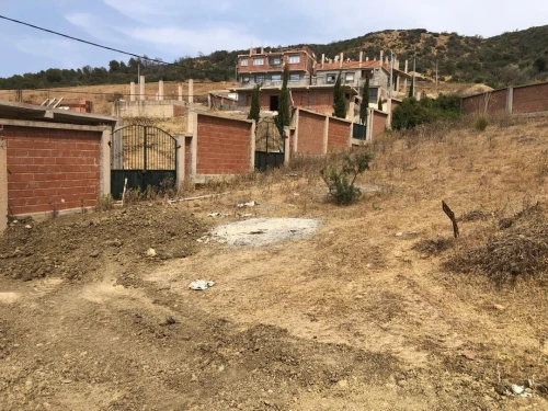 Vente Terrain Boumerdès Zemmouri