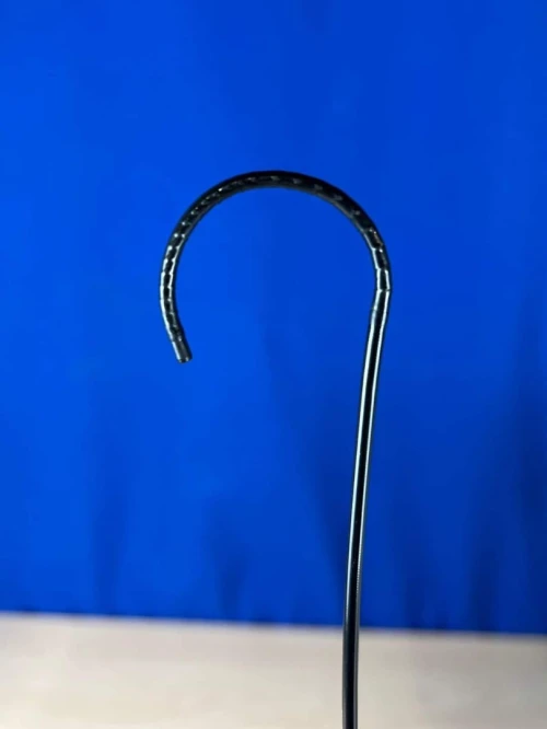 Vidéo Ureteroscope KARL STORZ