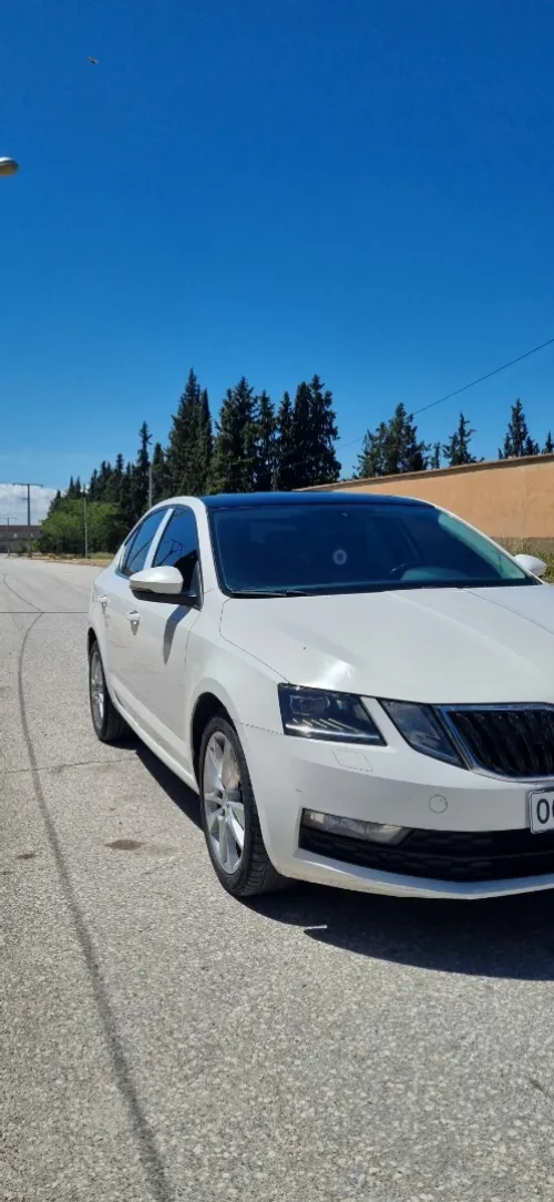 Skoda Octavia 2019 Sensation