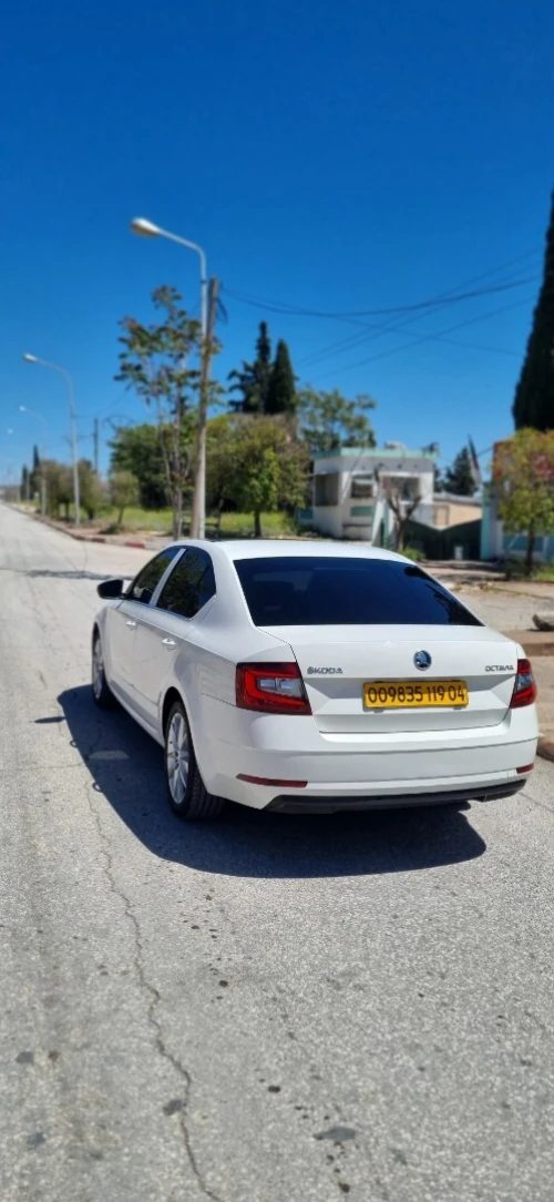 Skoda Octavia 2019 Sensation