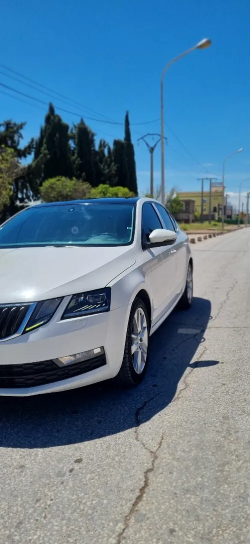 Skoda Octavia 2019 Sensation