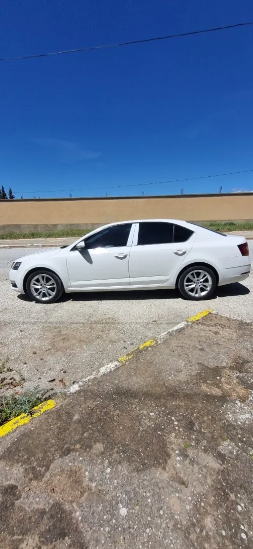 Skoda Octavia 2019 Sensation