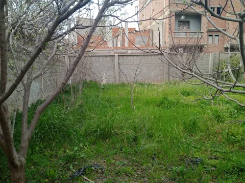 Vente Terrain Blida Ouled selama