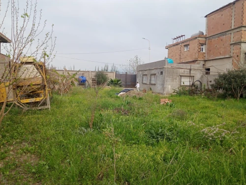 Vente Terrain Blida Ouled selama