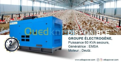 GROUPE ELECTROGENE 60 KVA DEUTZ / EMSA TD 
