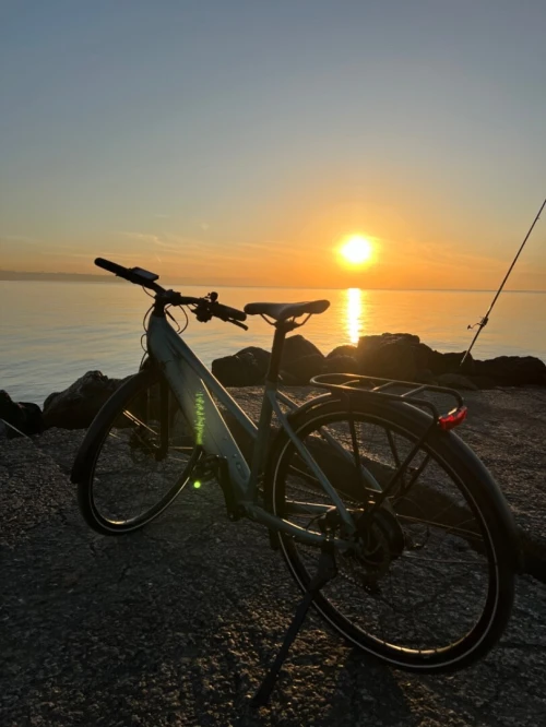 Elops velo electrique elops LD 500 E 
