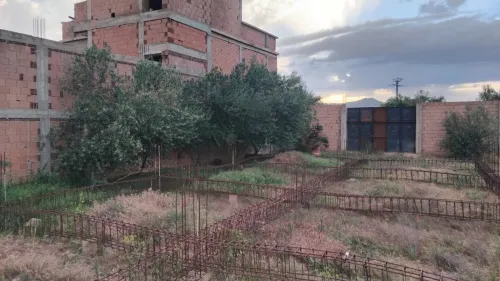 Vente Terrain Aïn Defla Ain defla