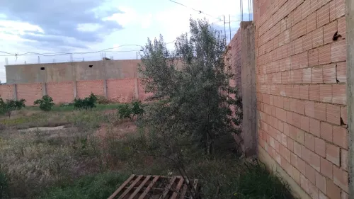 Vente Terrain Aïn Defla Ain defla