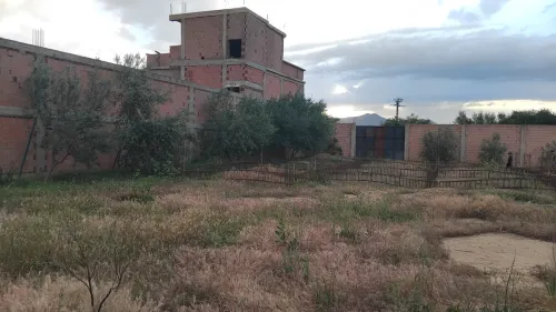 Vente Terrain Aïn Defla Ain defla