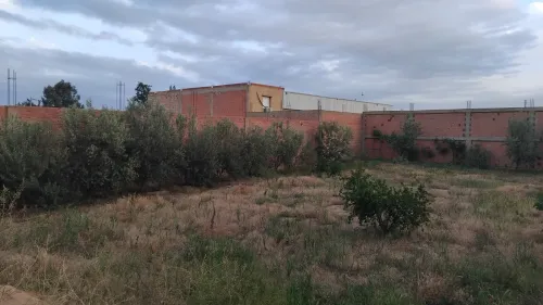 Vente Terrain Aïn Defla Ain defla