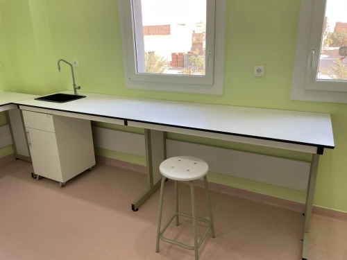 Paillasse de laboratoire
