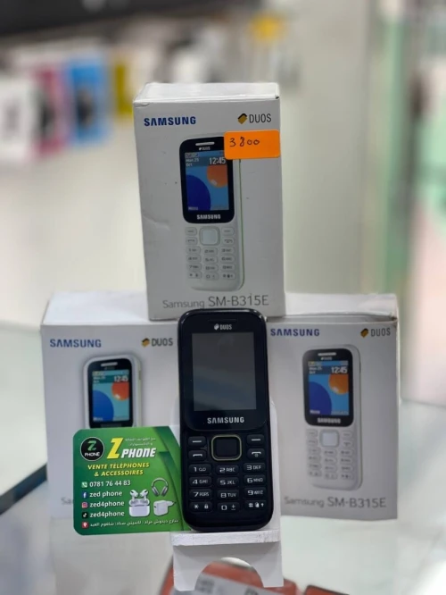 Téléphone Portable Samsung DUOS B315E