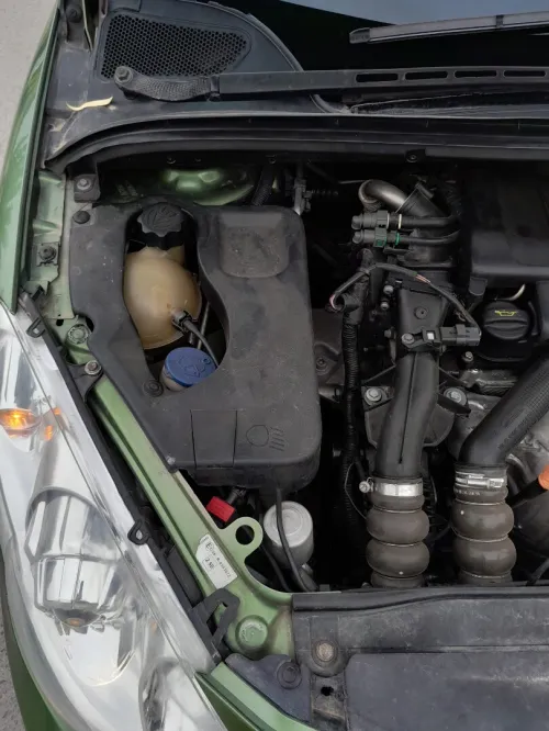 Peugeot 307 2006 Oxygo