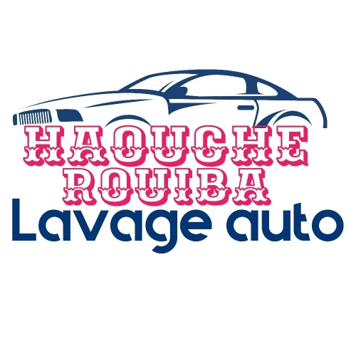 Lifting professionnel a vapeur 